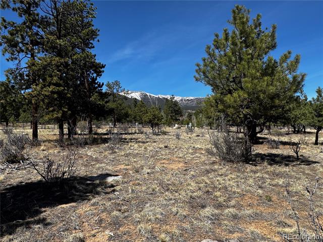 30583 Timberline Drive
