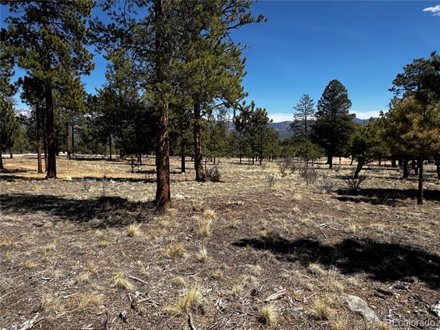 30583 Timberline Drive