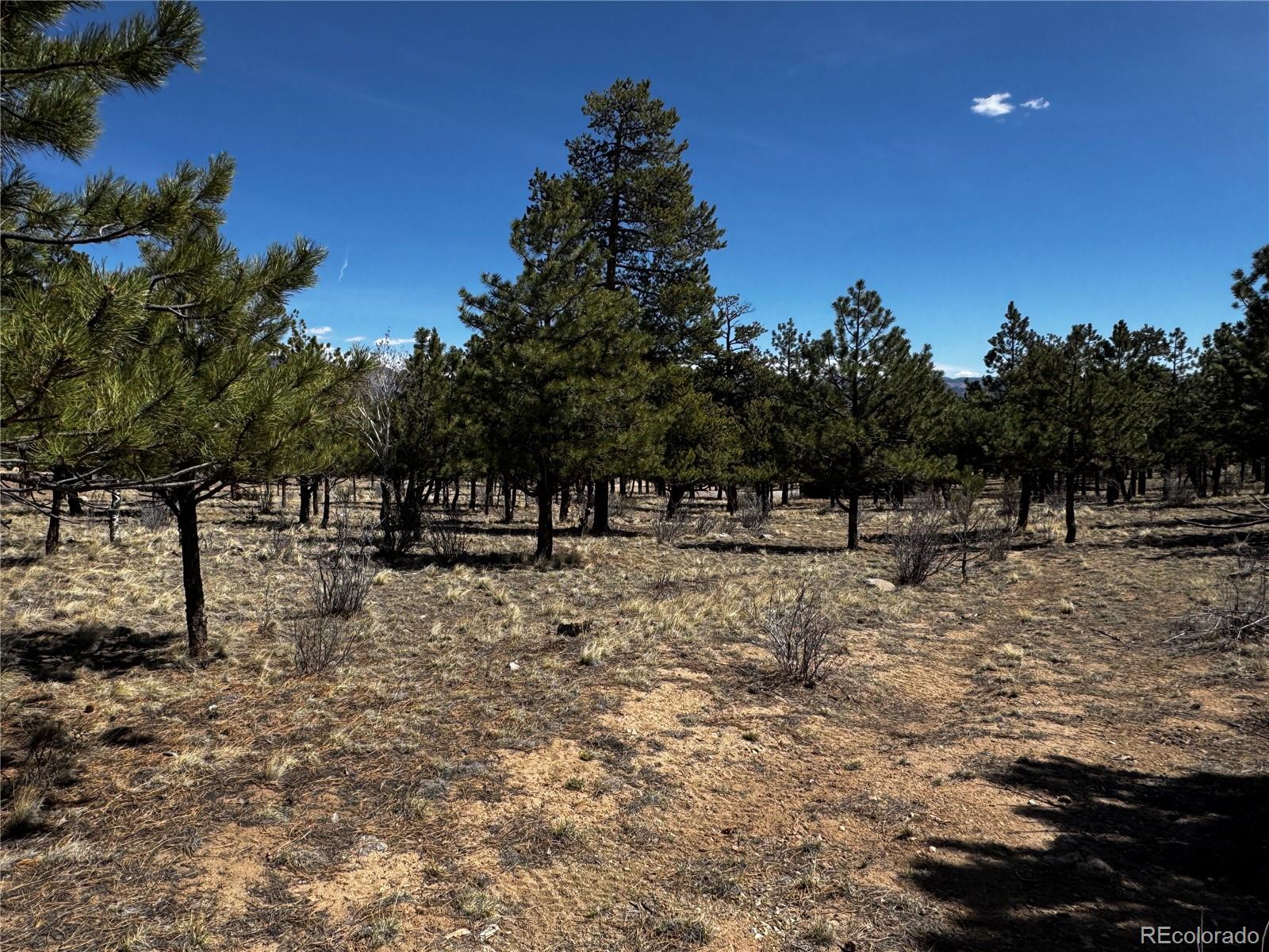 30583 Timberline Drive