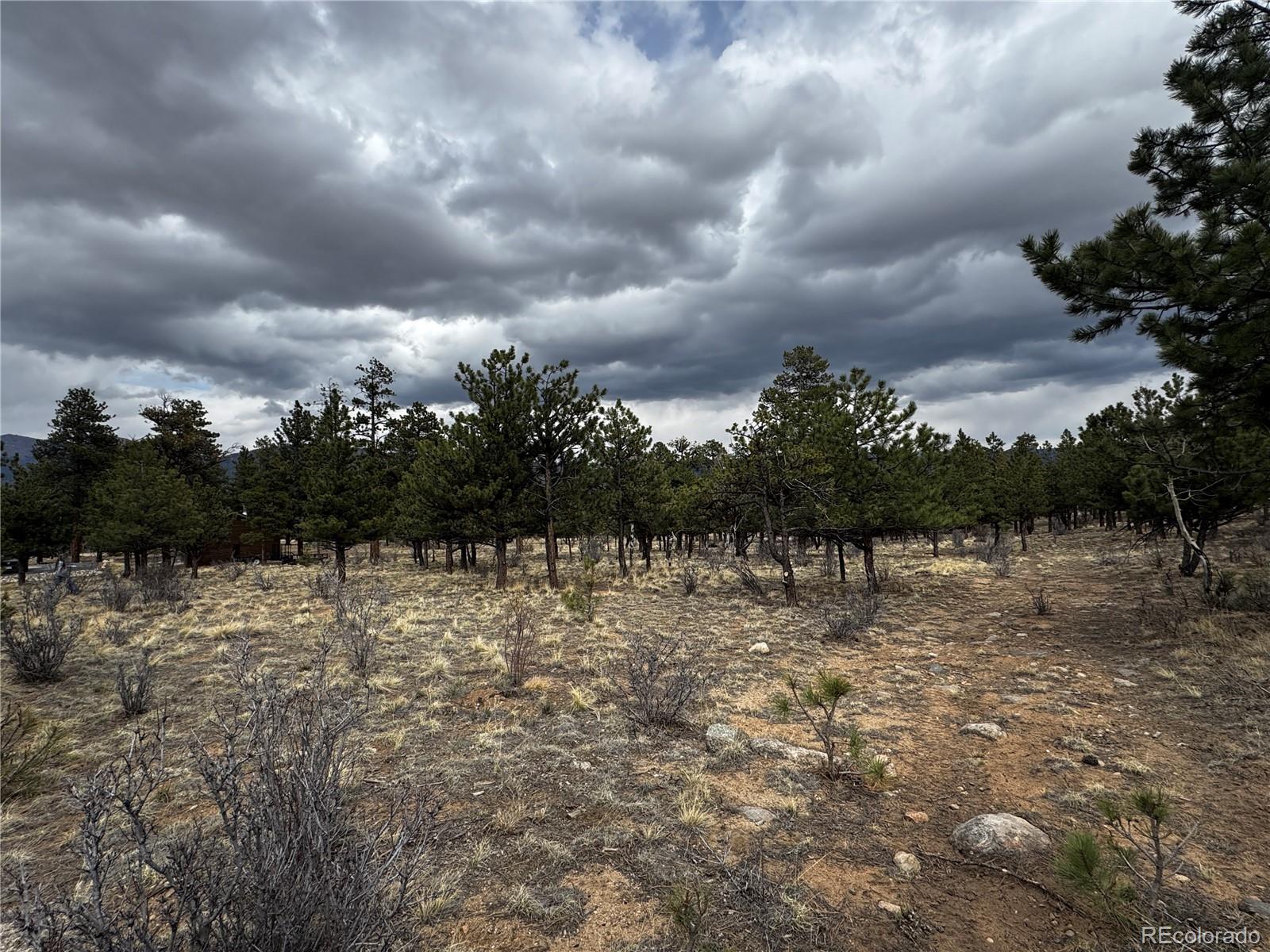 30583 Timberline Drive