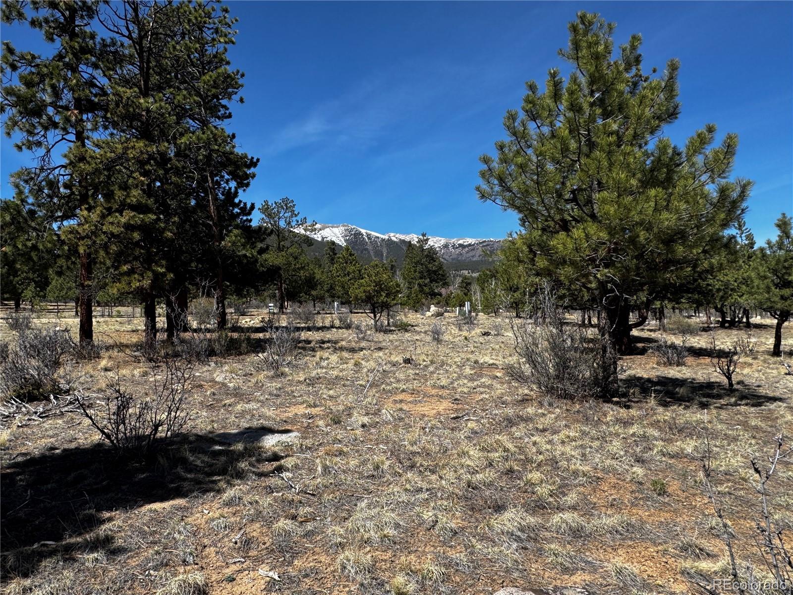 30583 Timberline Drive