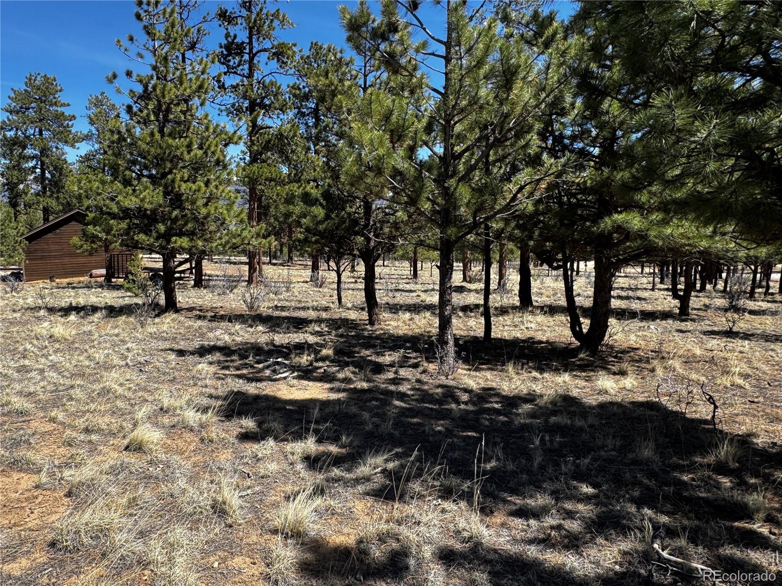 30583 Timberline Drive