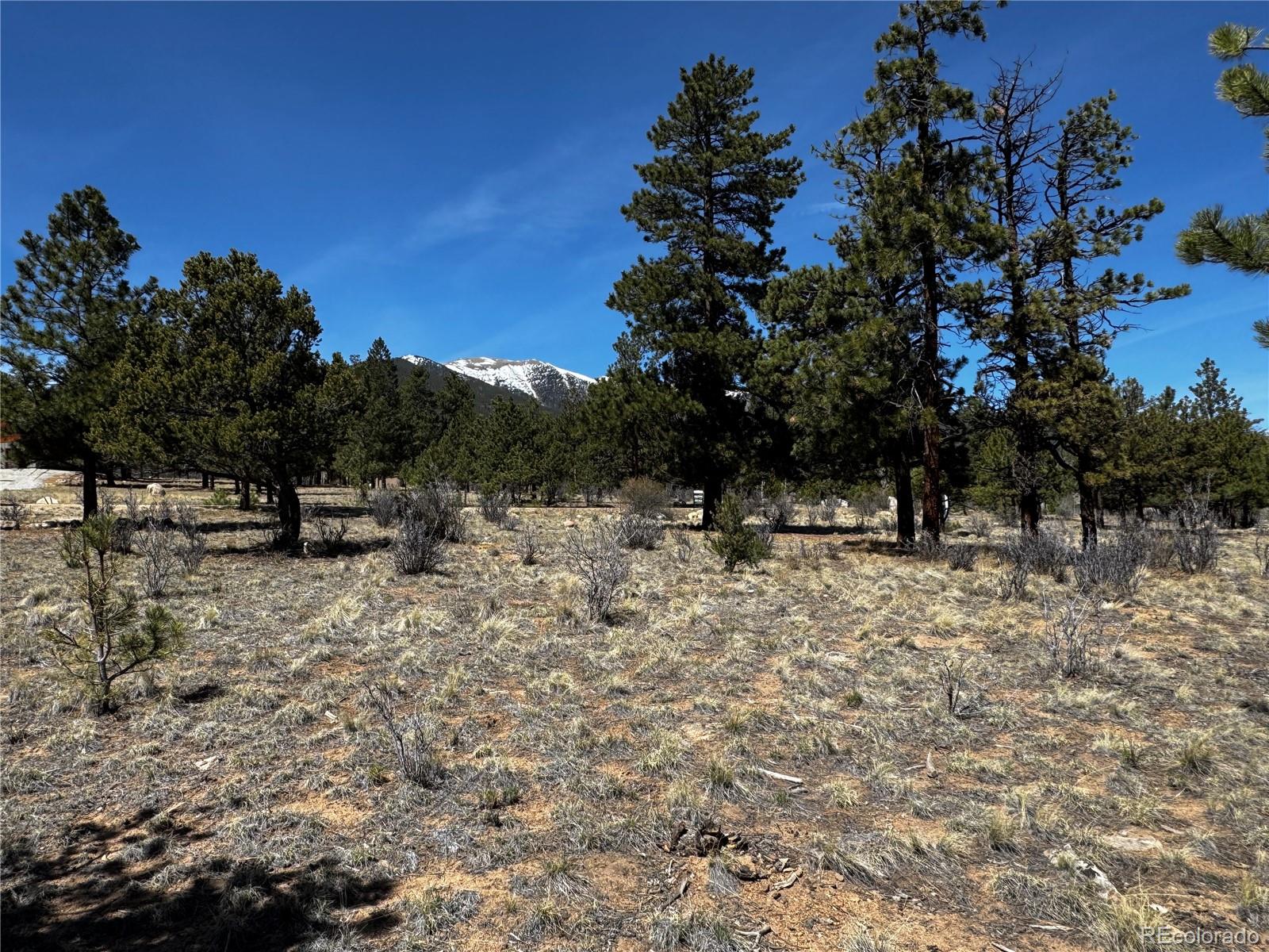 30583 Timberline Drive