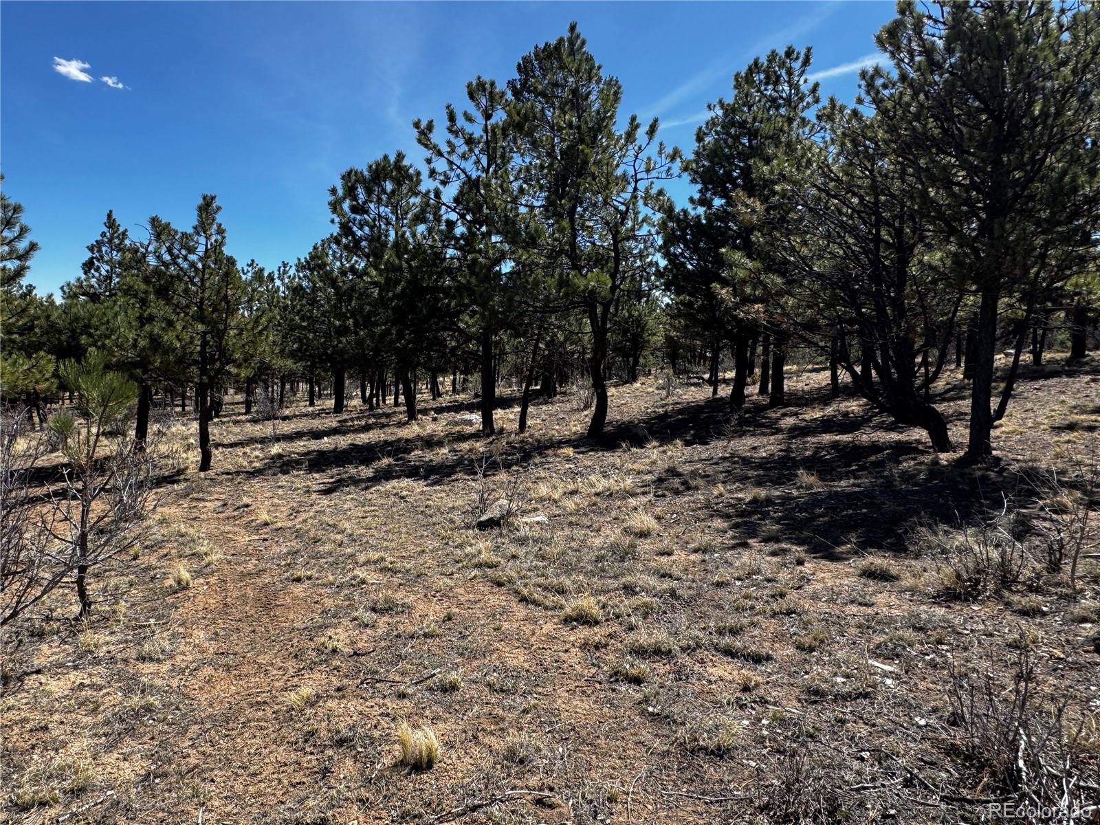 30583 Timberline Drive