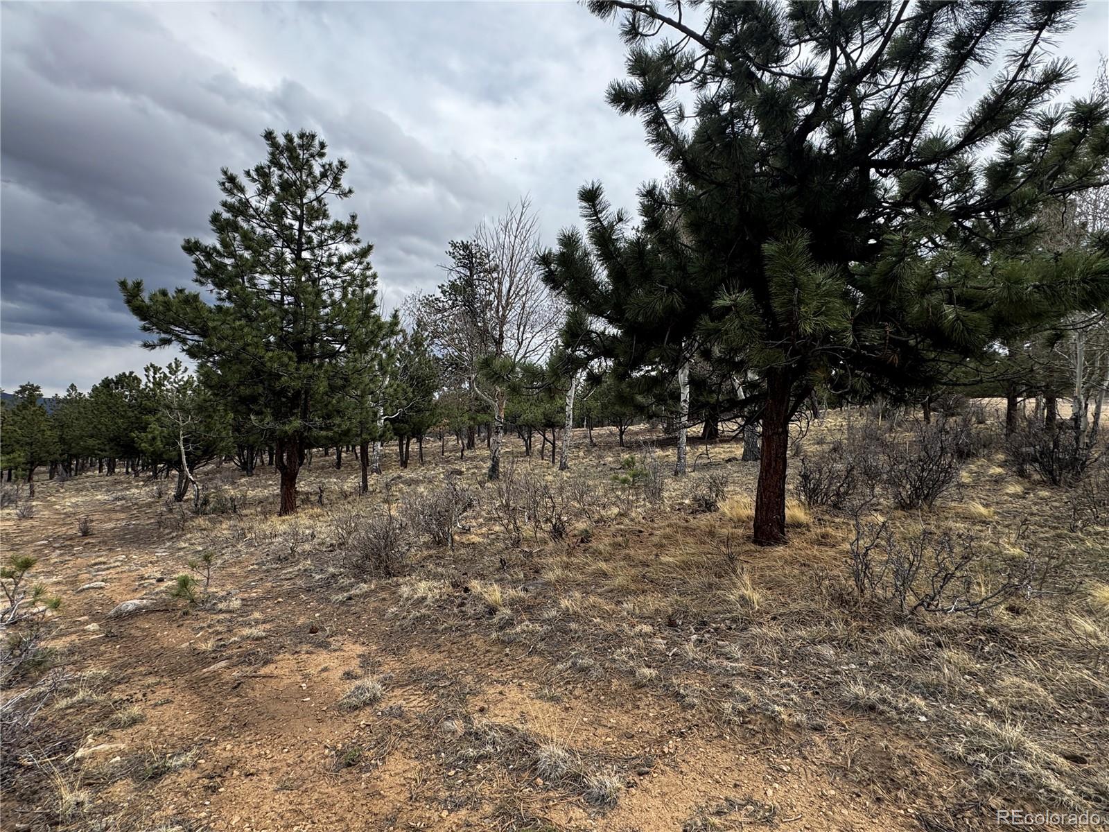 30583 Timberline Drive