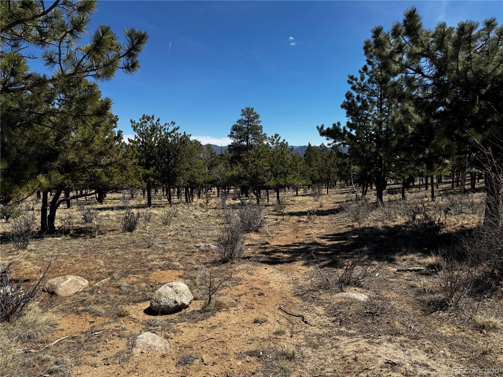 30583 Timberline Drive