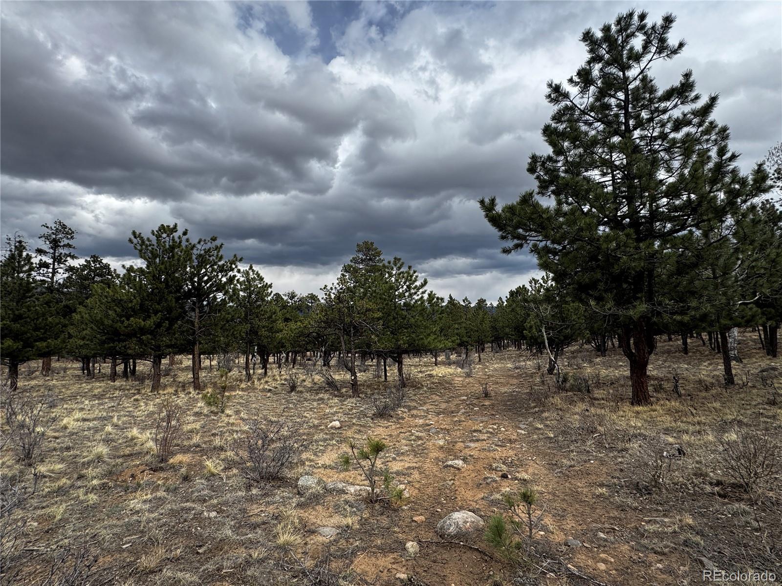 30583 Timberline Drive