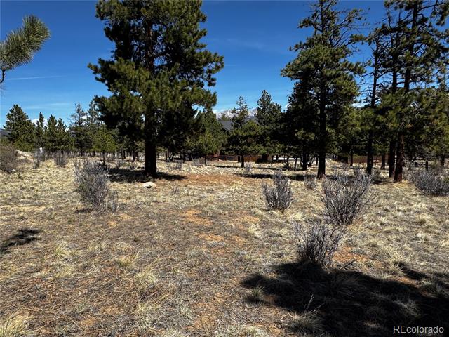 30583 Timberline Drive