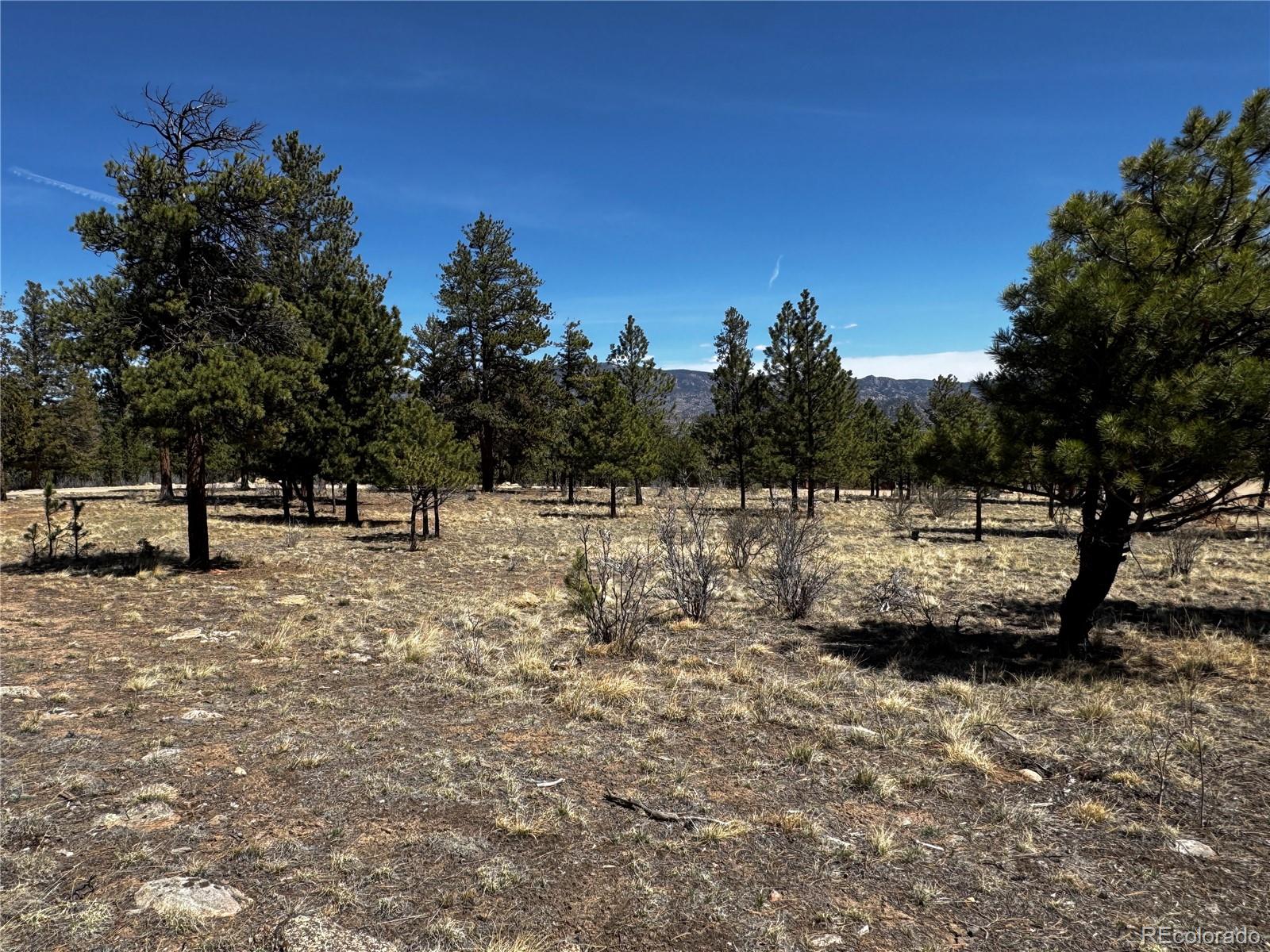 30583 Timberline Drive