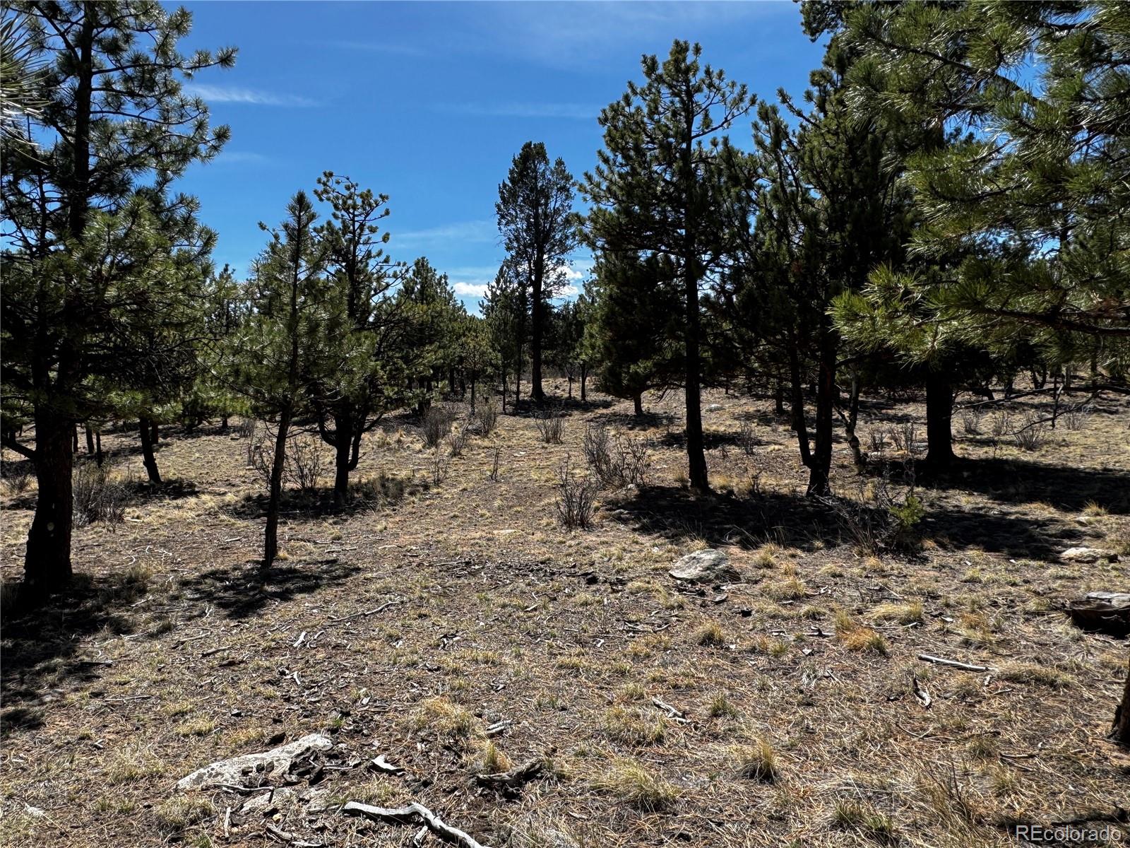 30583 Timberline Drive