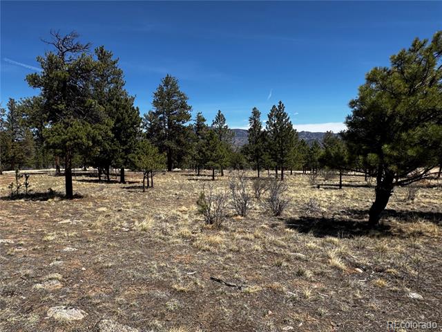30583 Timberline Drive