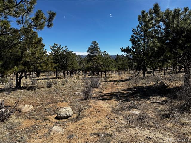 30583 Timberline Drive