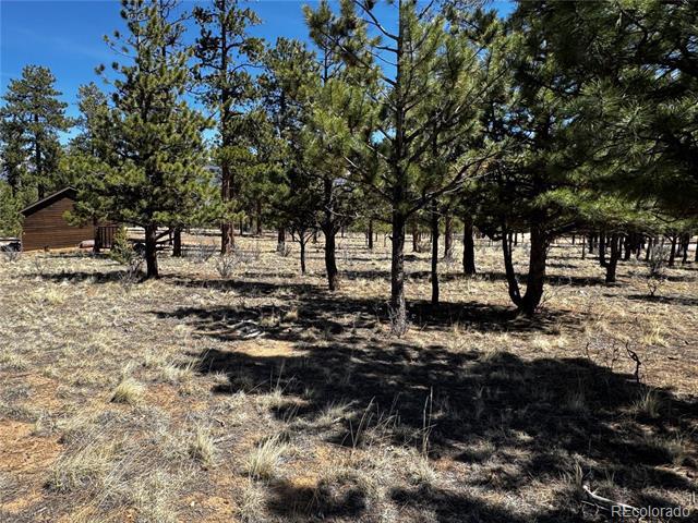 30583 Timberline Drive