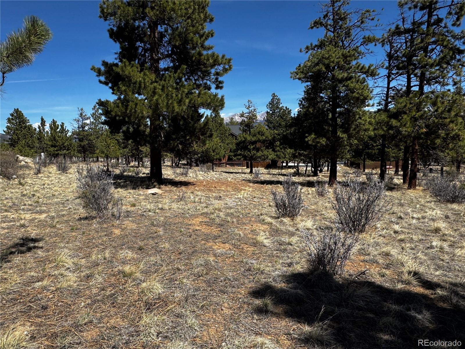 30583 Timberline Drive