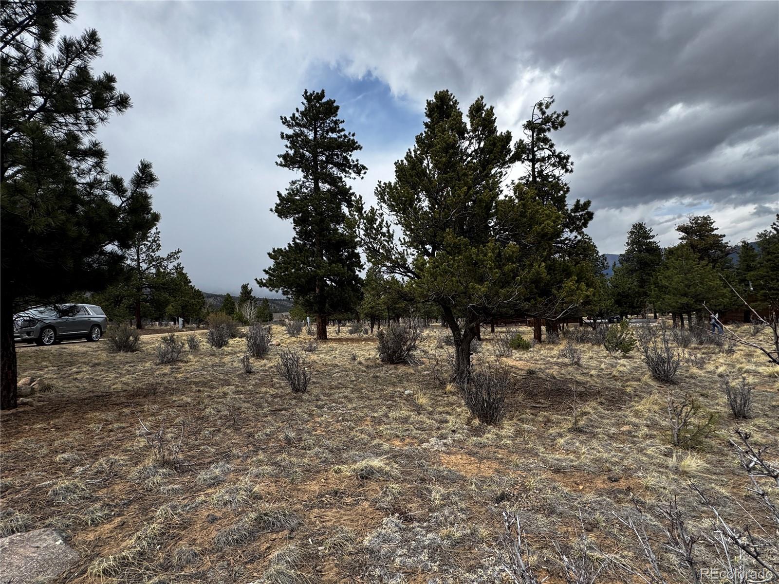 30583 Timberline Drive