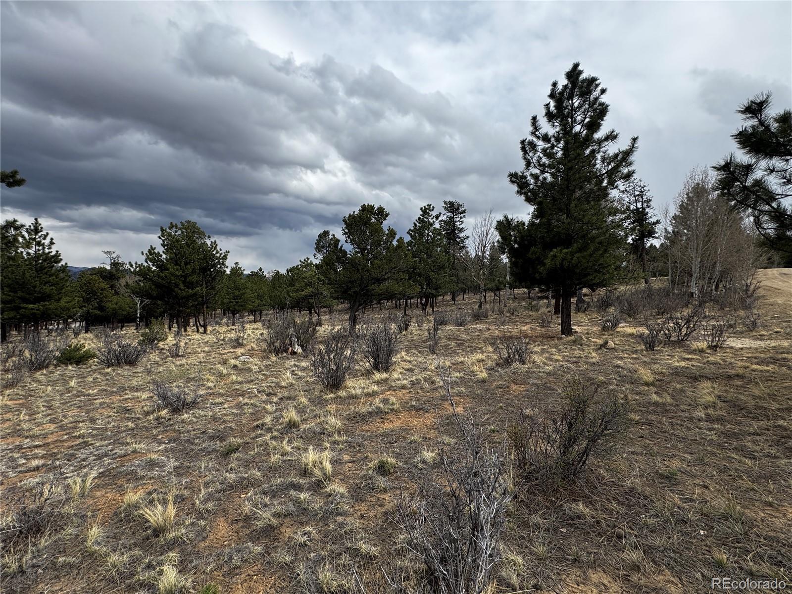 30583 Timberline Drive