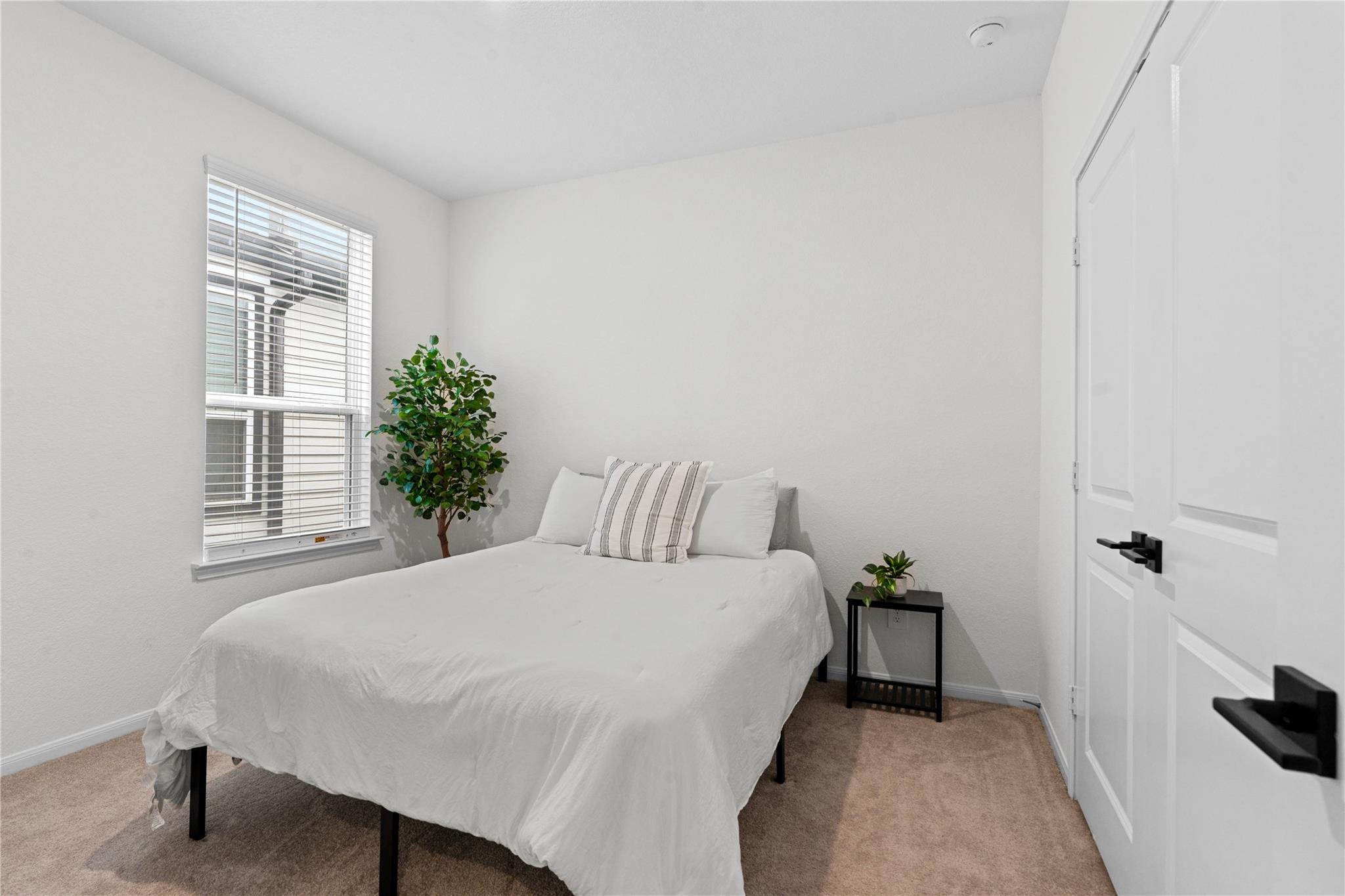 23439 Wrexham Street