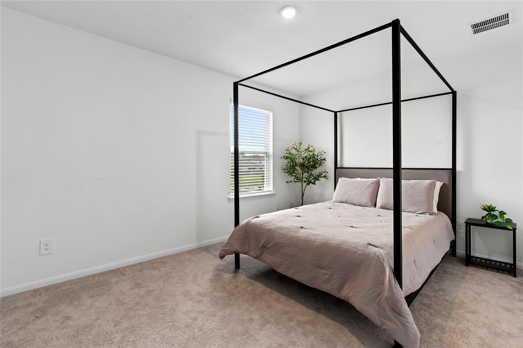 23439 Wrexham Street