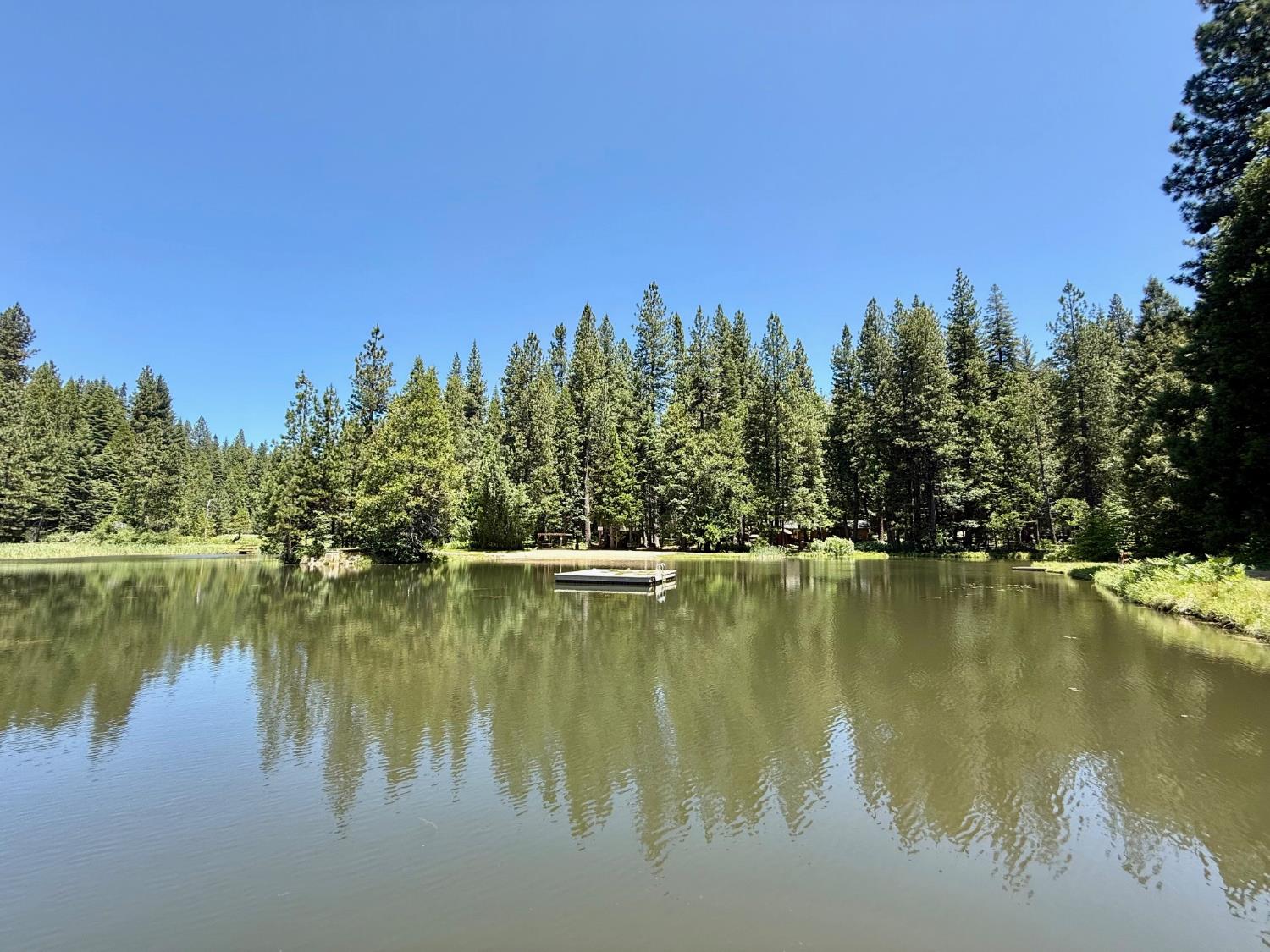 3234 Snowshoe Thompson Trl
