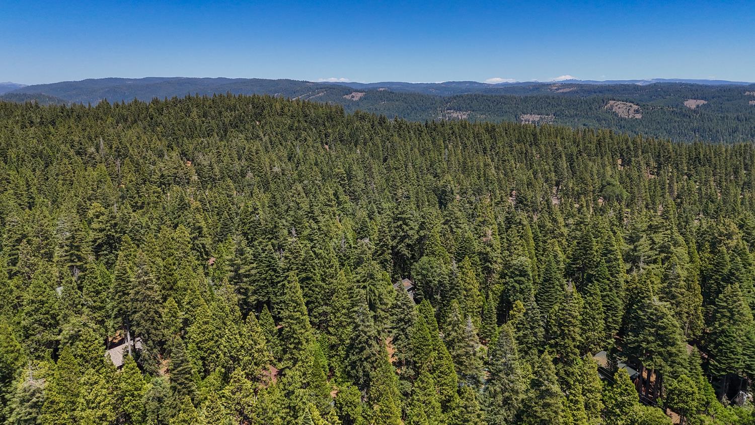 3234 Snowshoe Thompson Trl