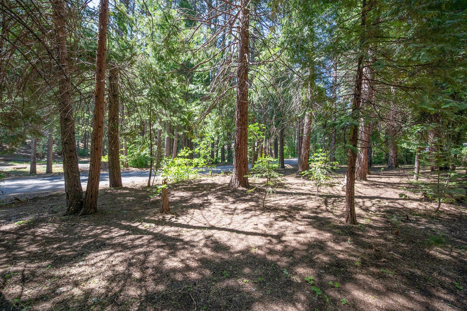 3234 Snowshoe Thompson Trl