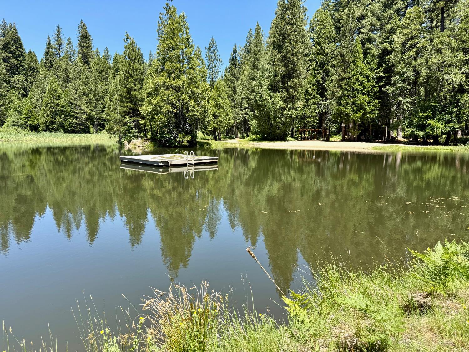 3234 Snowshoe Thompson Trl