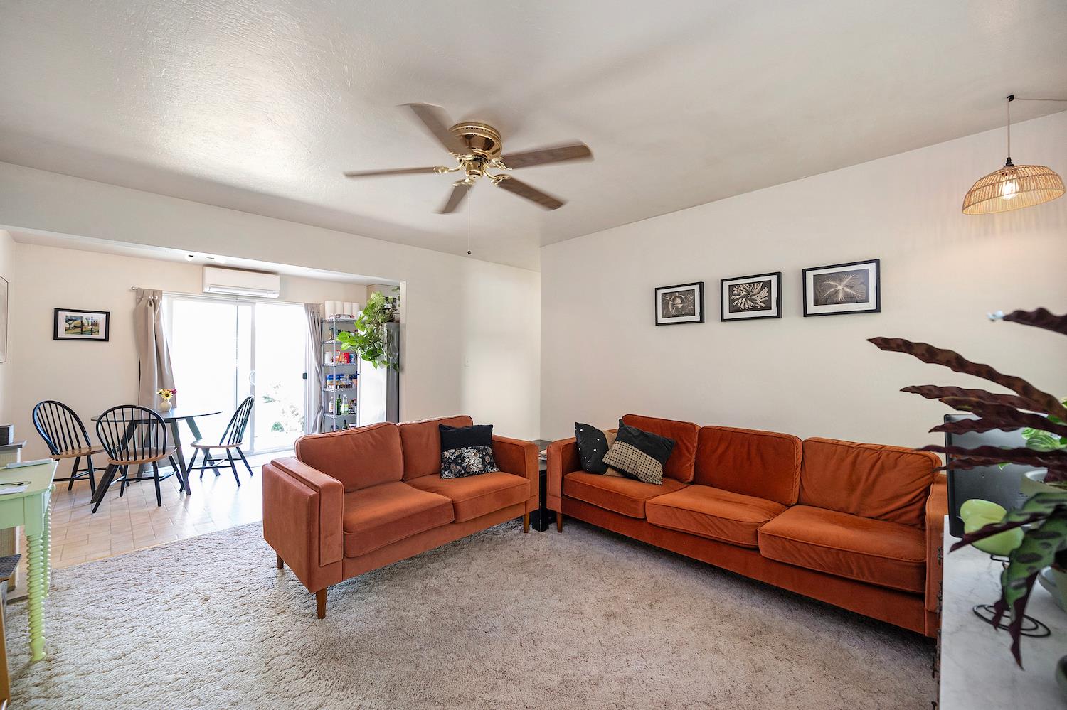 497 San Joaquin Ave