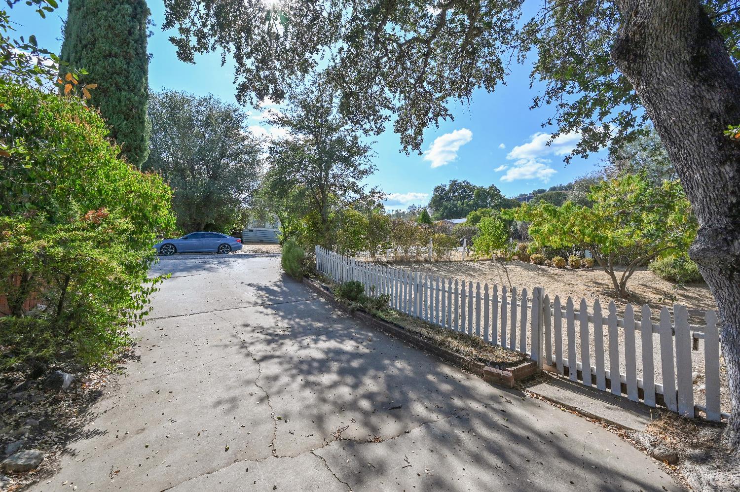 1805 Live Oak Dr.