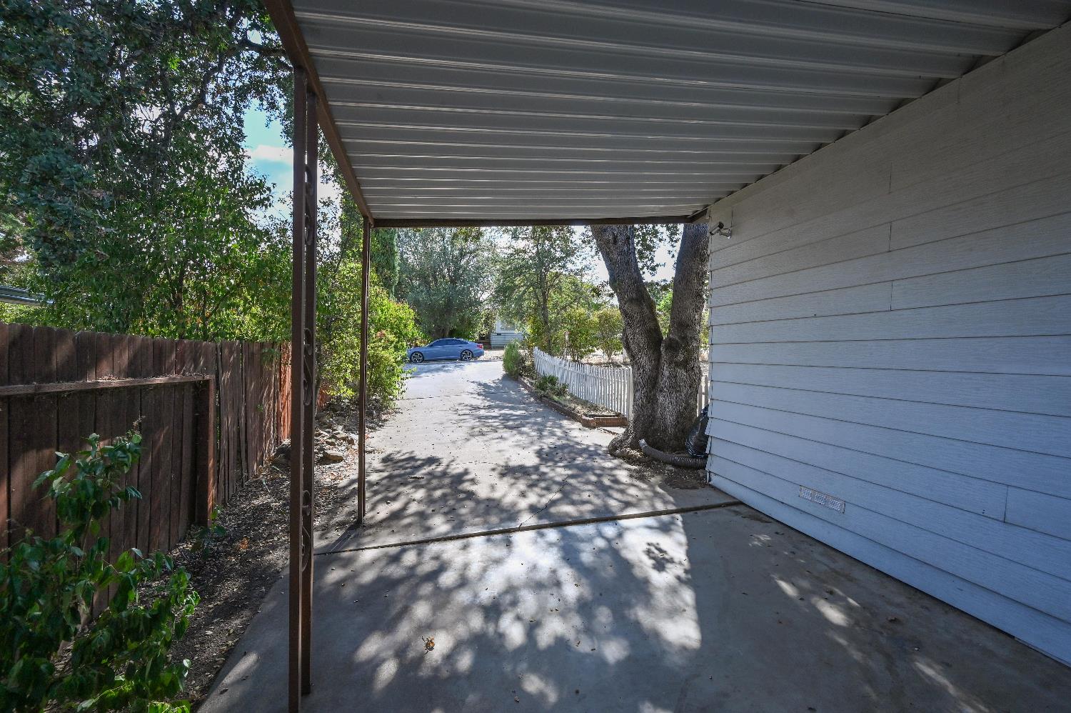 1805 Live Oak Dr.