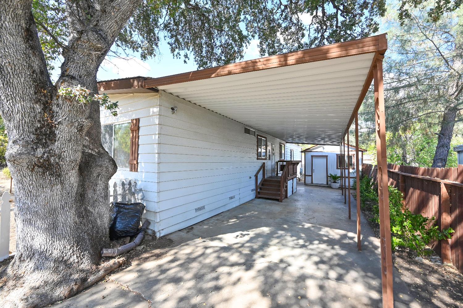 1805 Live Oak Dr.