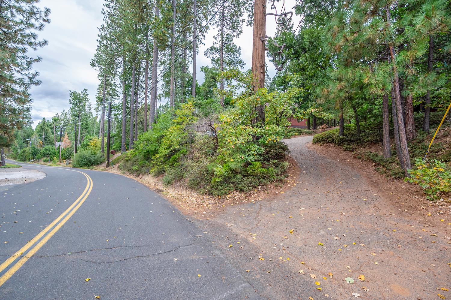 284 Blue Lake Springs Dr