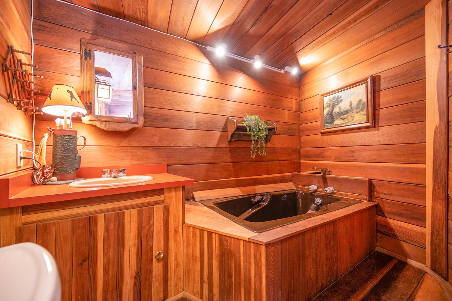 284 Blue Lake Springs Dr