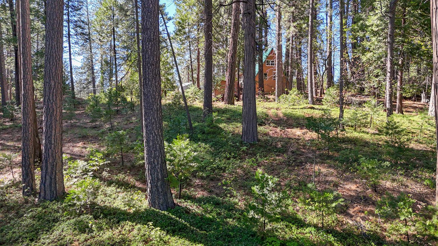 2629 Valley View Drive