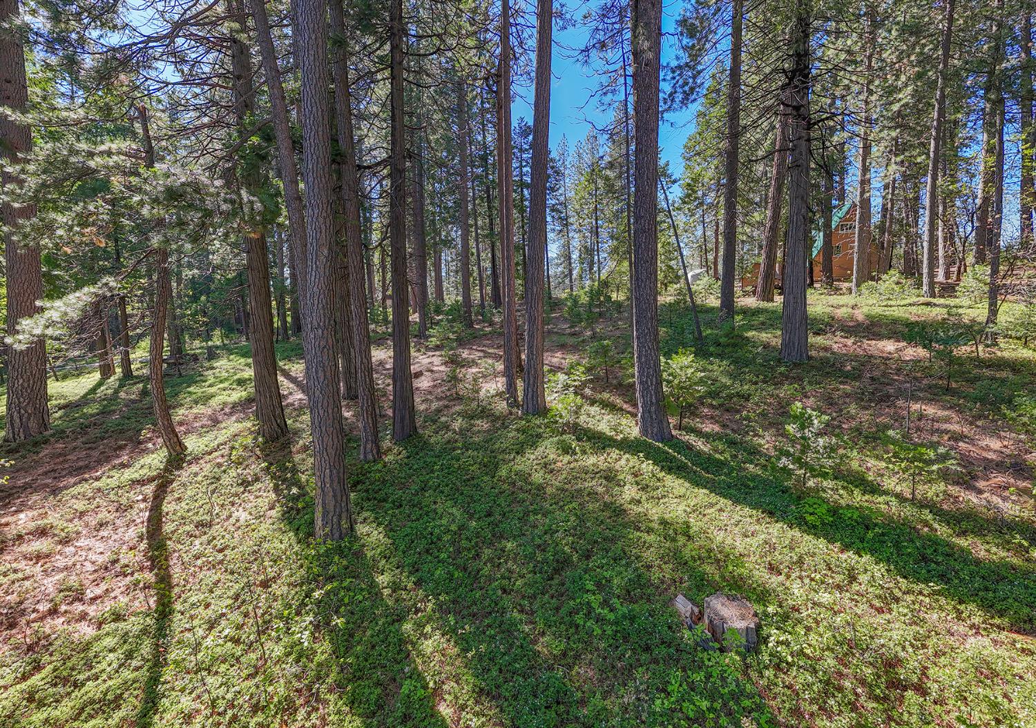 2629 Valley View Drive