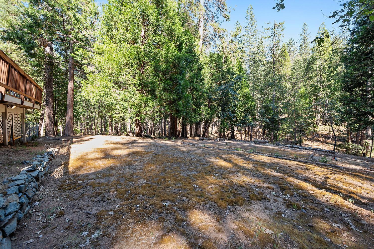 1821 Thunderbolt Trail