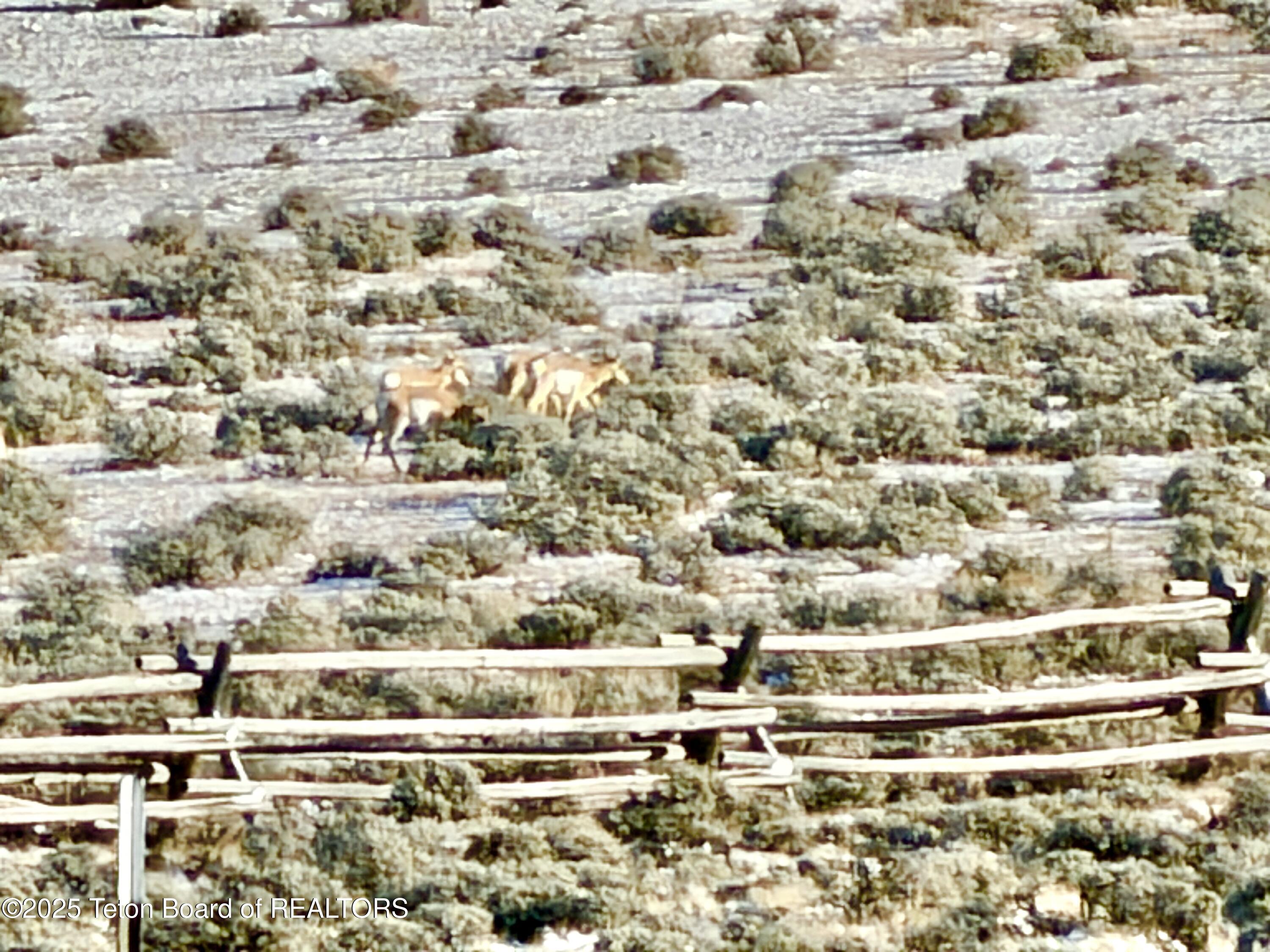 LOT 4 BALD MOUNTAIN Road