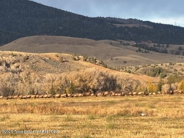 LOT 5 BALD MOUNTAIN Road