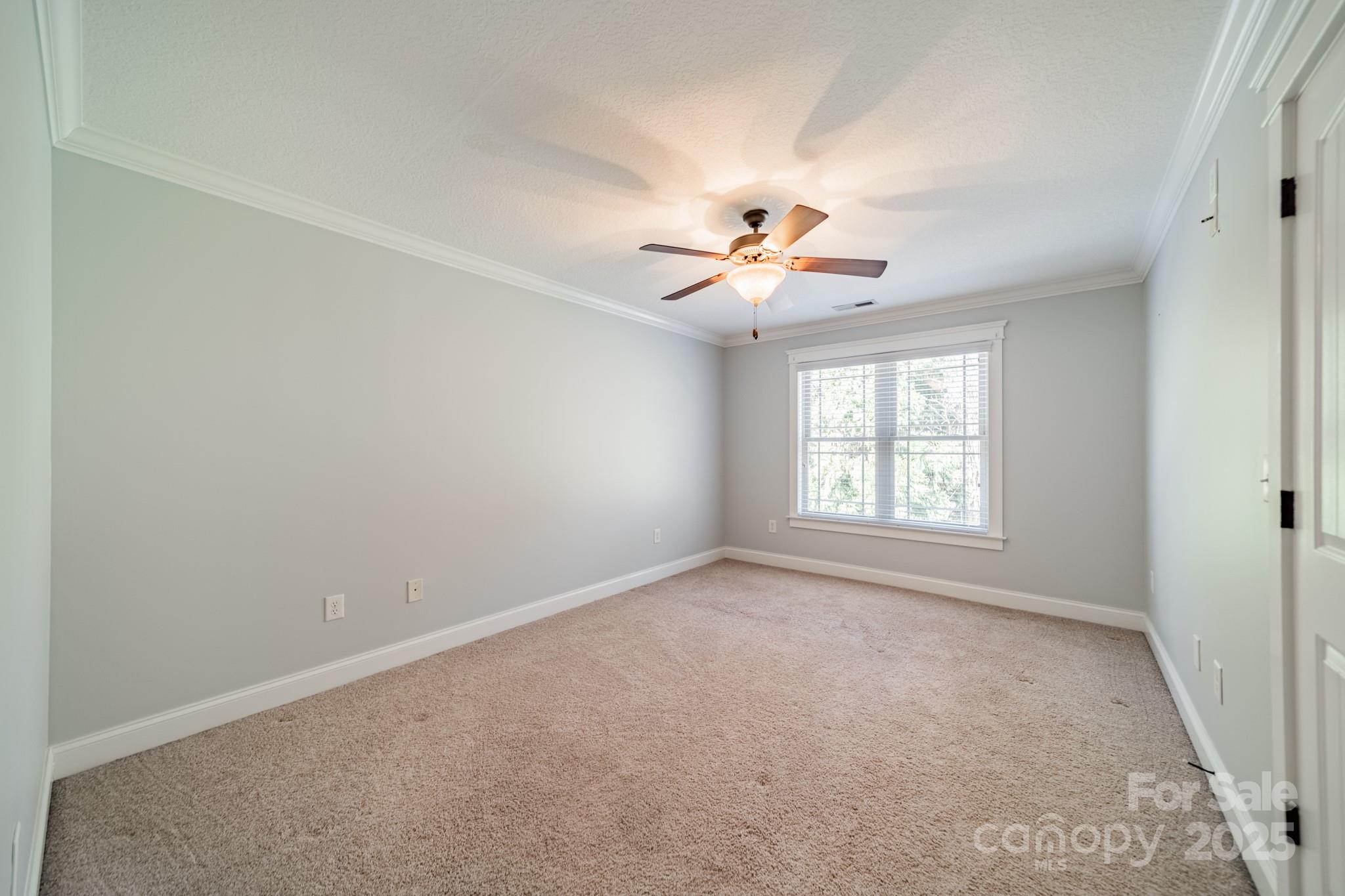 165 Blue Ridge Trail