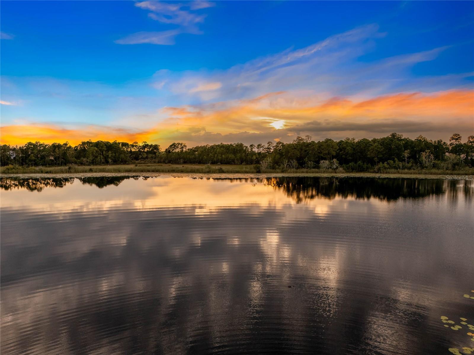 10198 MERRYMEETING BAY DR