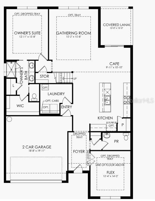 5541 FLAME VINE WAY