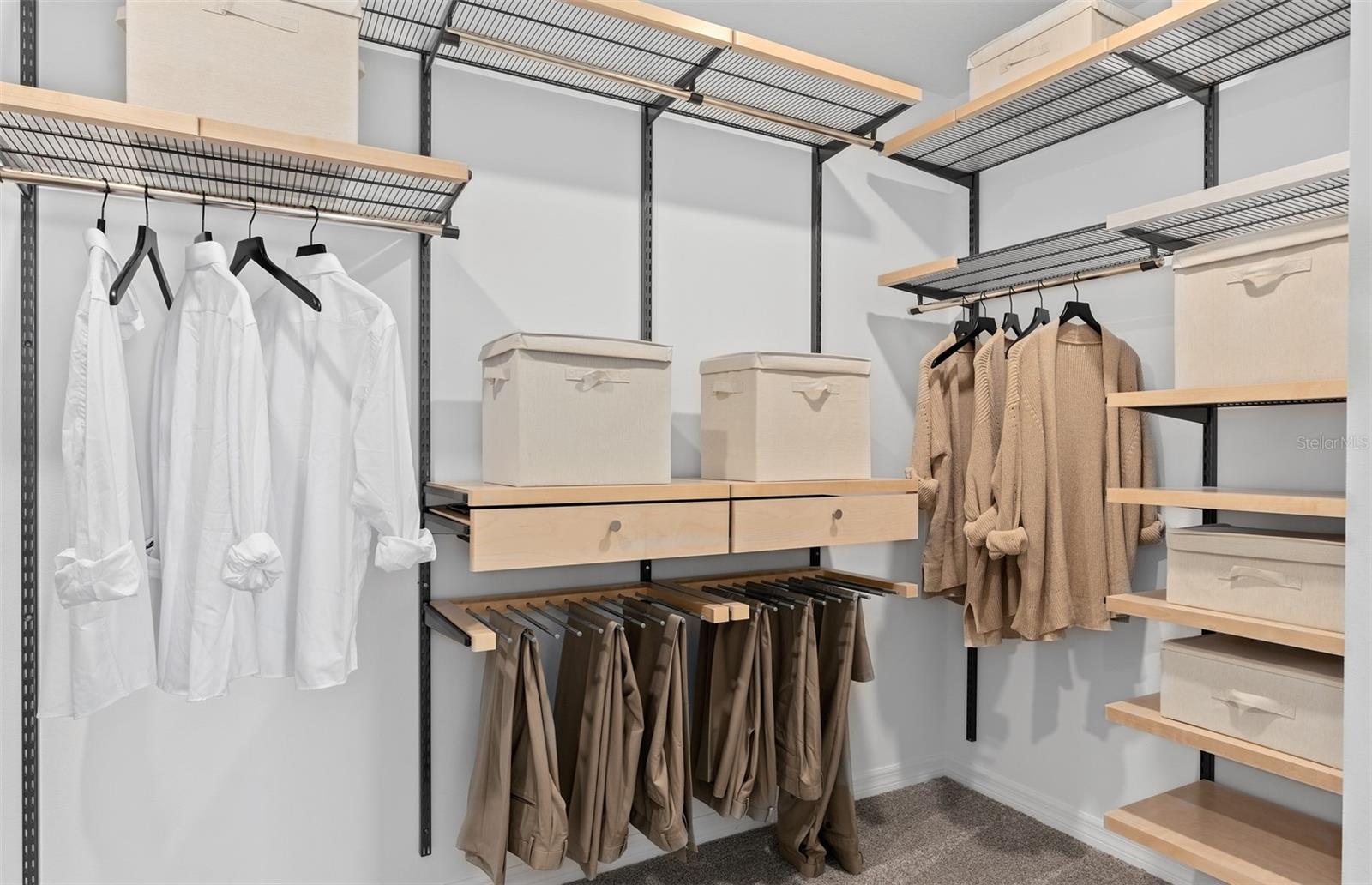 3446 ORANGE ROSE LOOP