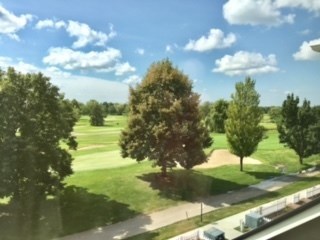 4182 Royal Mews Circle Unit: 4182