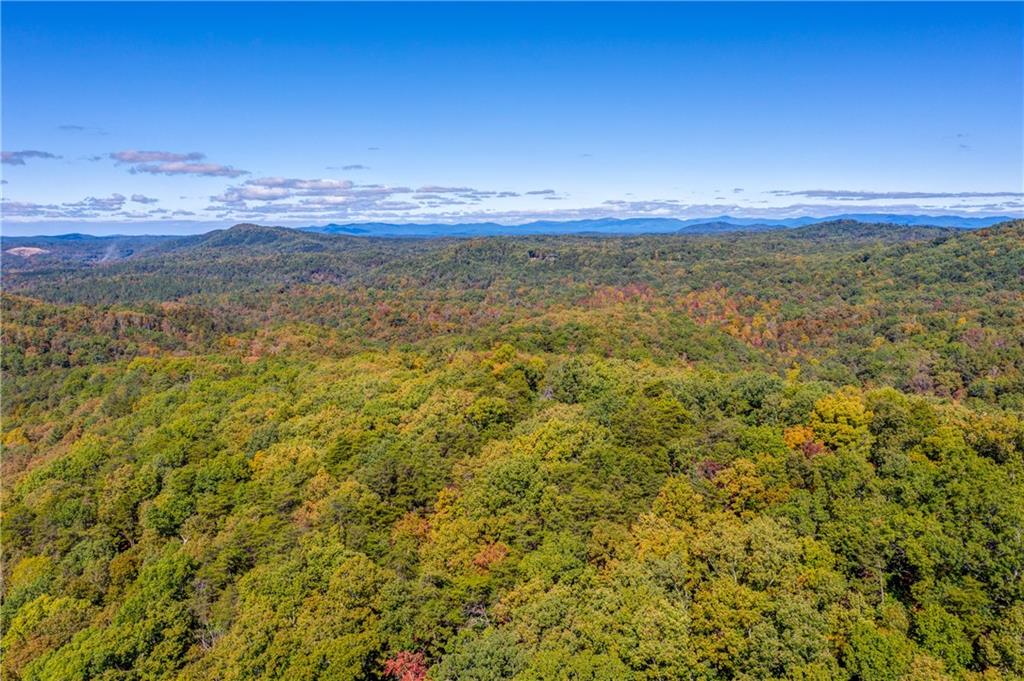 589 Brown Deer Drive