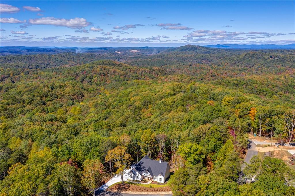 589 Brown Deer Drive