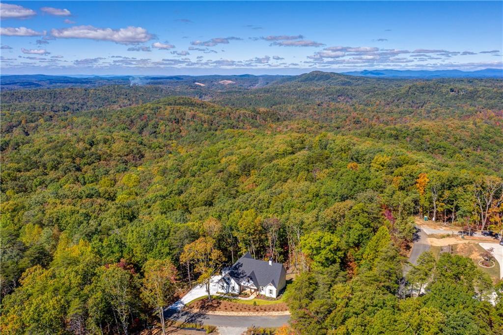 589 Brown Deer Drive