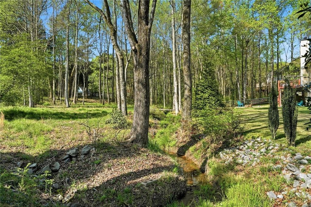 212 Silver Birch Court