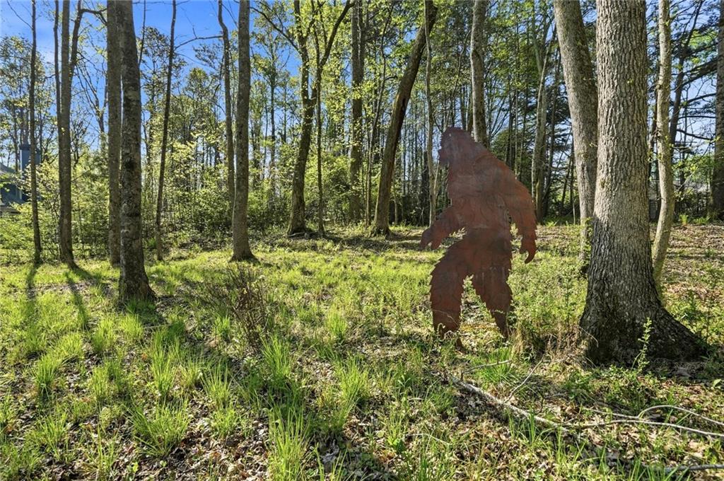 212 Silver Birch Court