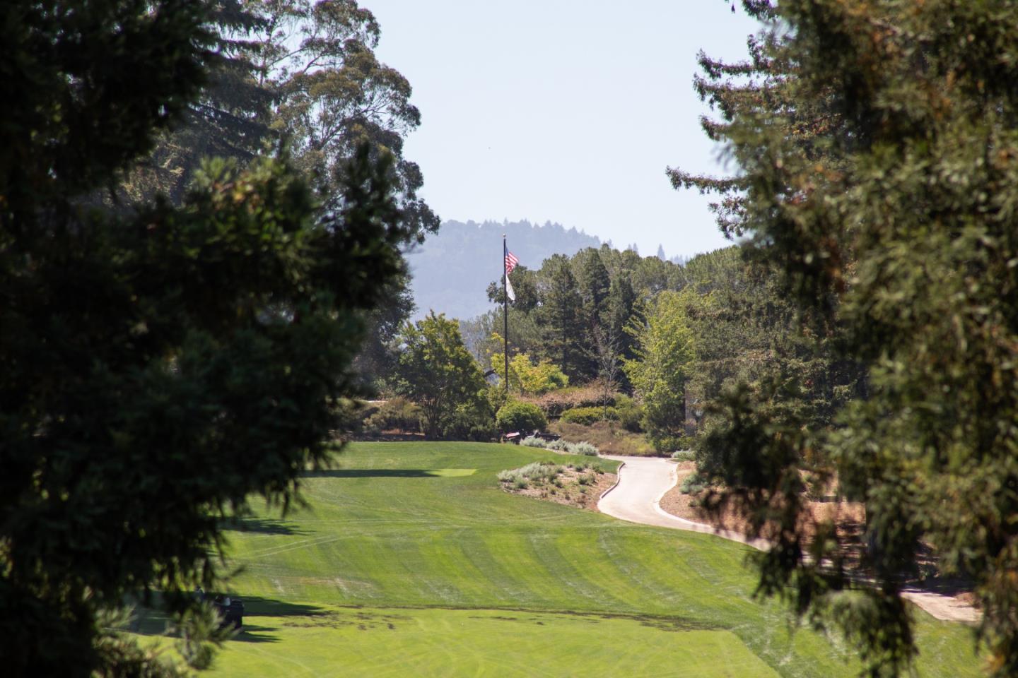 1204 Sharon Park DR 87