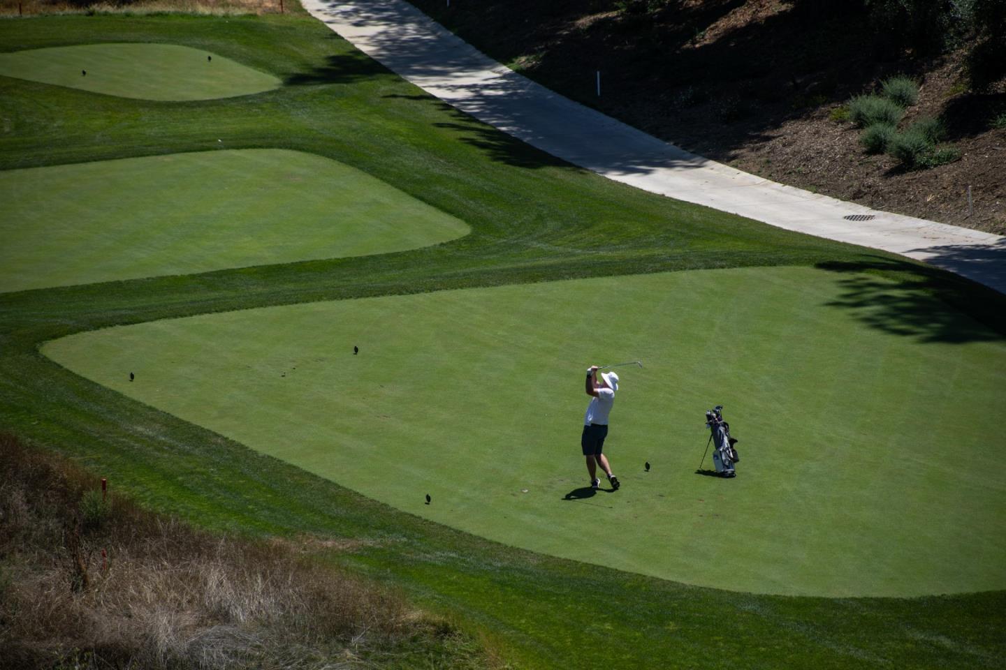 1204 Sharon Park DR 87