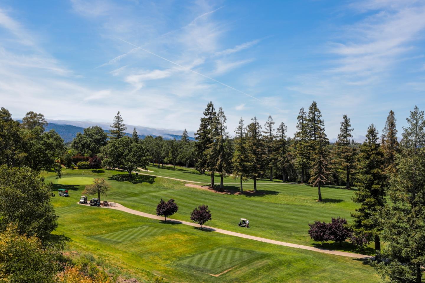 1204 Sharon Park DR 87